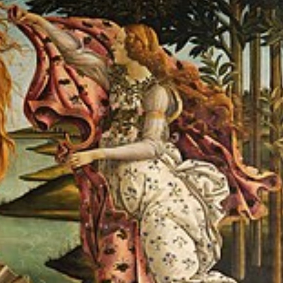 Meet your Posher, Clara - Picture 1 of 1